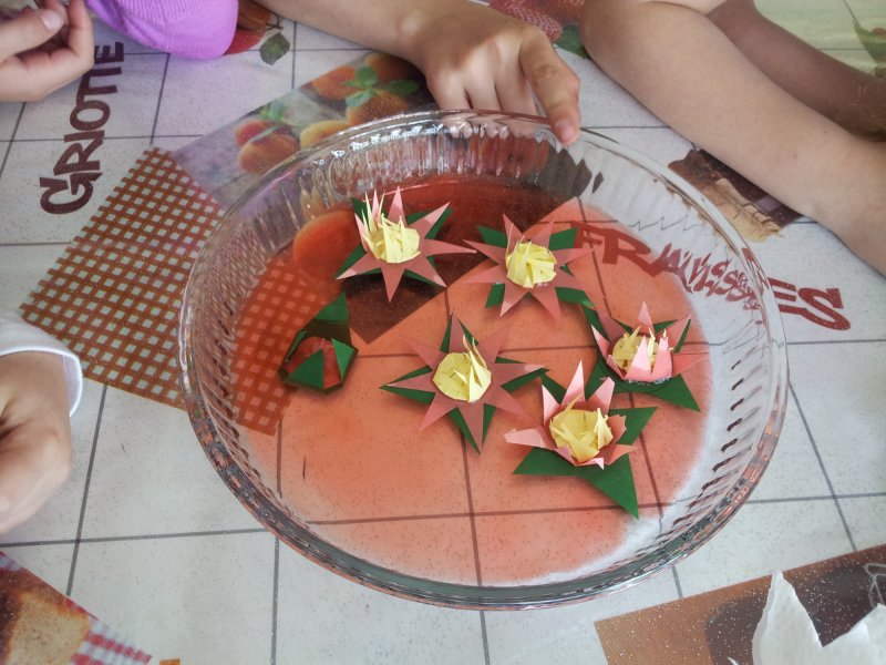 חוג העשרת ידע - אדהזיה וקוהזיה