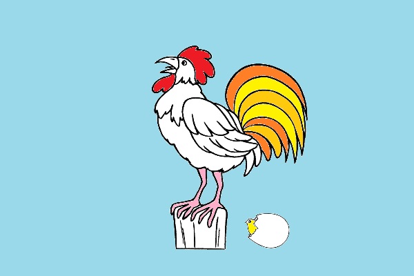 תַּרְנְגוֹל מַטִּיל בֵּיצָה